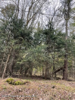 0 Cabin Hill Road Hallstead, PA 18822 - Photo 4 of 4 Gallery Image 4