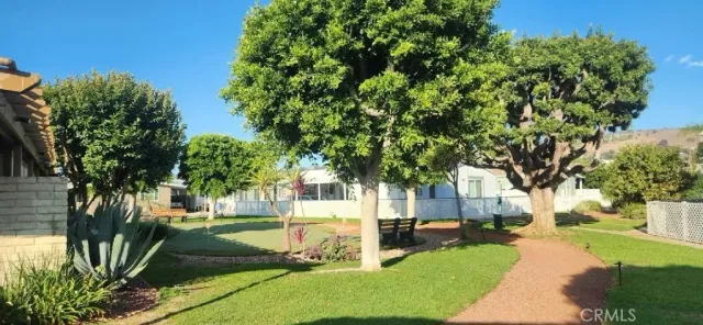 a view of a park with plants and trees