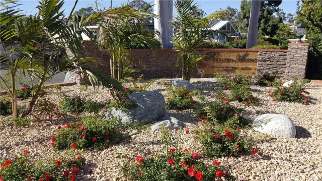 a view of backyard with flowers and trees