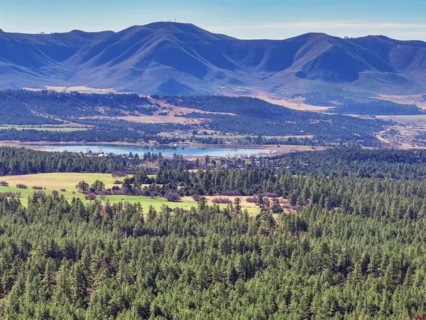 a view of a lush green hillside and a houses