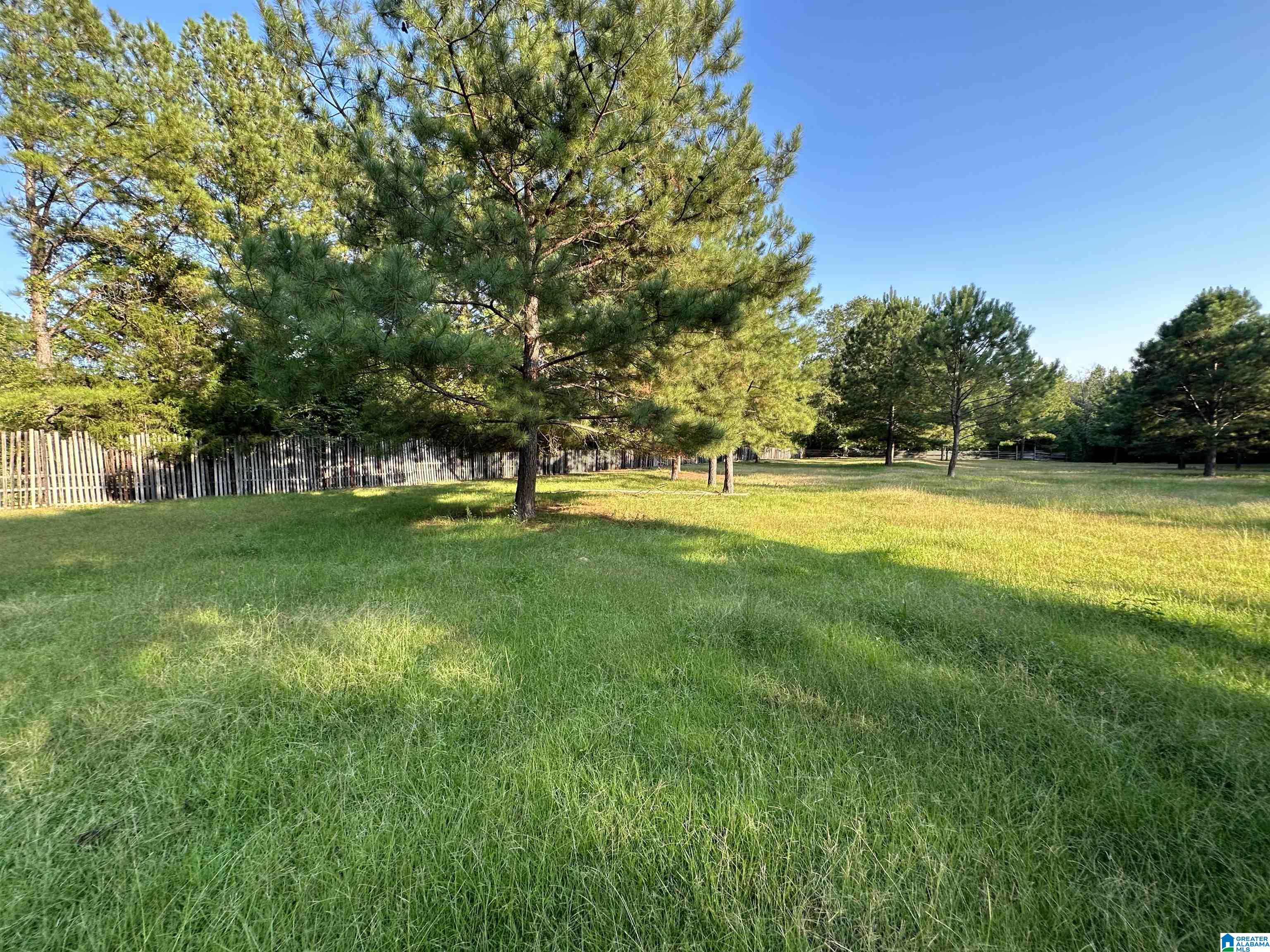 0 Honeycut Road Randolph, AL 36792 - Photo 7 of 29