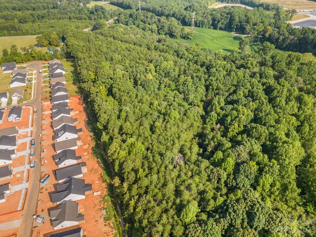 a view of a yard with a plant