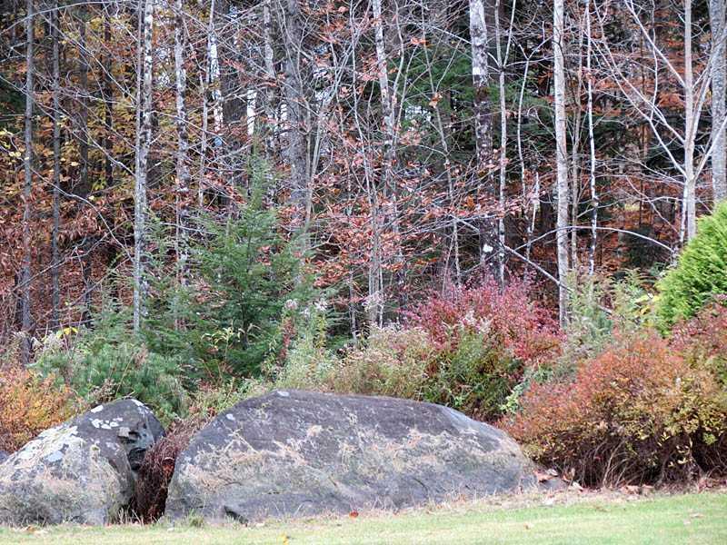 18 Guy Chandler Road Wilton, ME 04294 - Photo 23 of 23 Yard/Garden.