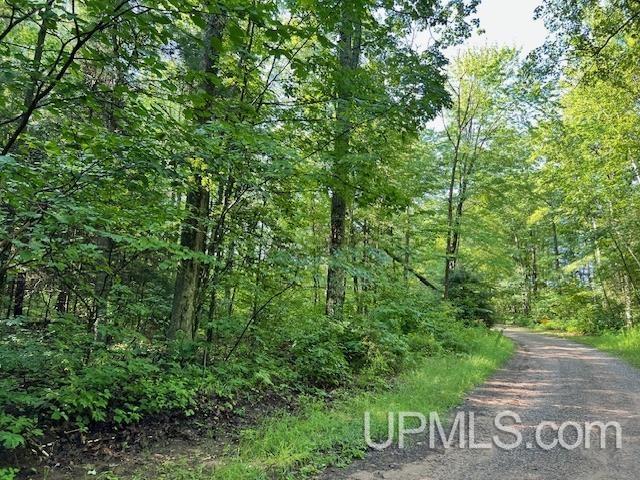 T-wi Big Bear Road Pembine, WI 54156 - Photo 2 of 7