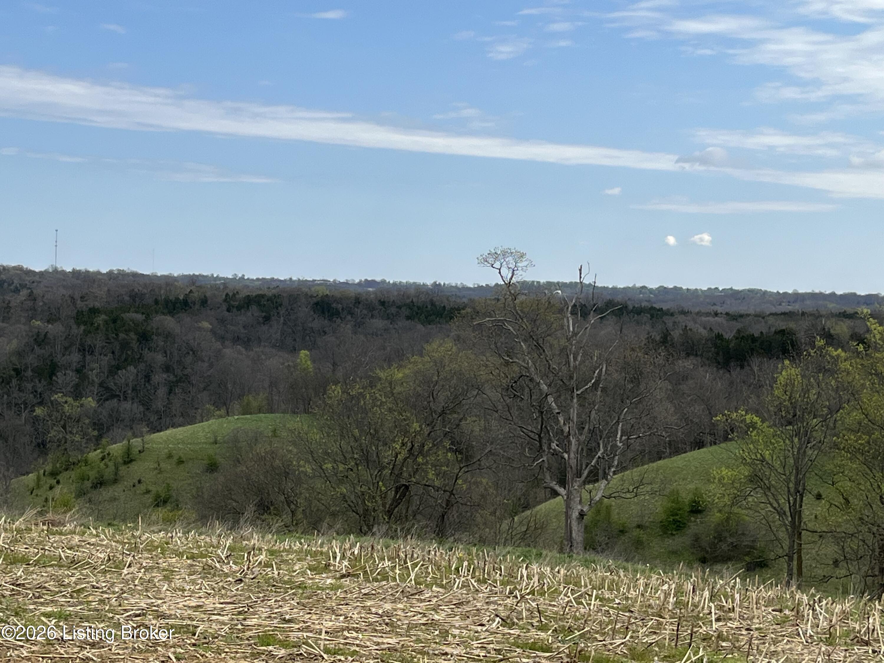 1568 Bray Ridge Road Bedford, KY 40006 - Photo 33 of 75 IMG_7216