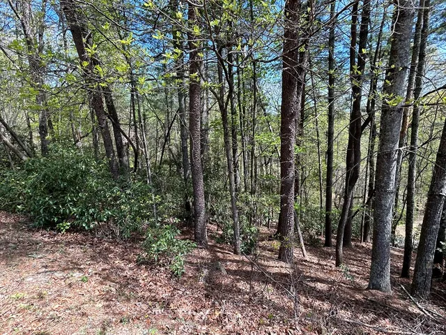 $18,000 | Lt699 Choctaw Drive, Ellijay, GA 30540