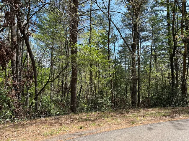 $18,000 | Lt699 Choctaw Drive, Ellijay, GA 30540
