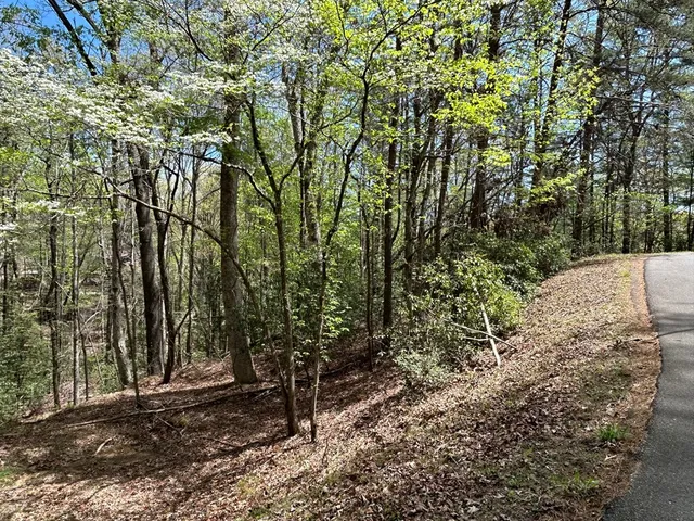 $18,000 | Lt699 Choctaw Drive, Ellijay, GA 30540