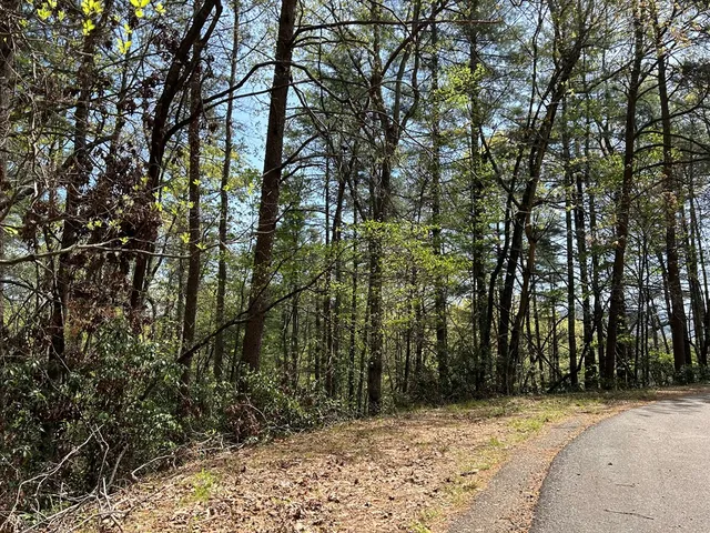 $18,000 | Lt699 Choctaw Drive, Ellijay, GA 30540