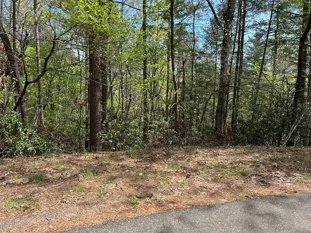 $18,000 | Lt699 Choctaw Drive, Ellijay, GA 30540