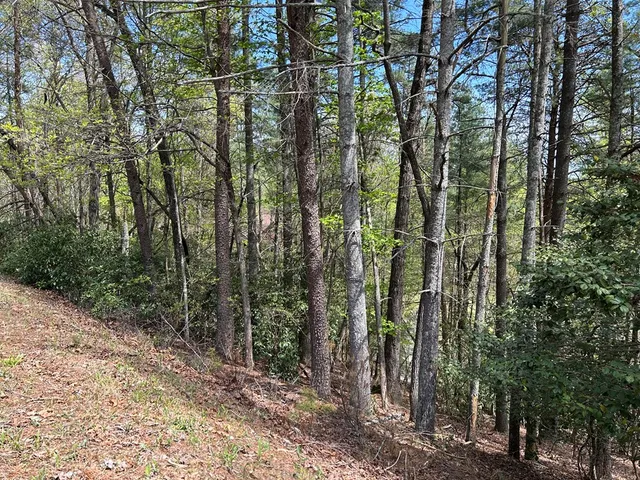 $18,000 | Lt699 Choctaw Drive, Ellijay, GA 30540