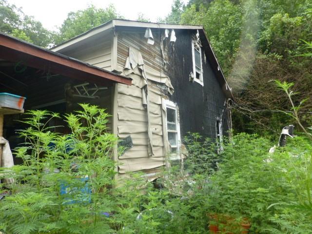 253 Macedonia Road Lancing, TN 37770 - Photo 1 of 6 OA-108-8578-i2510825CD-NoTag