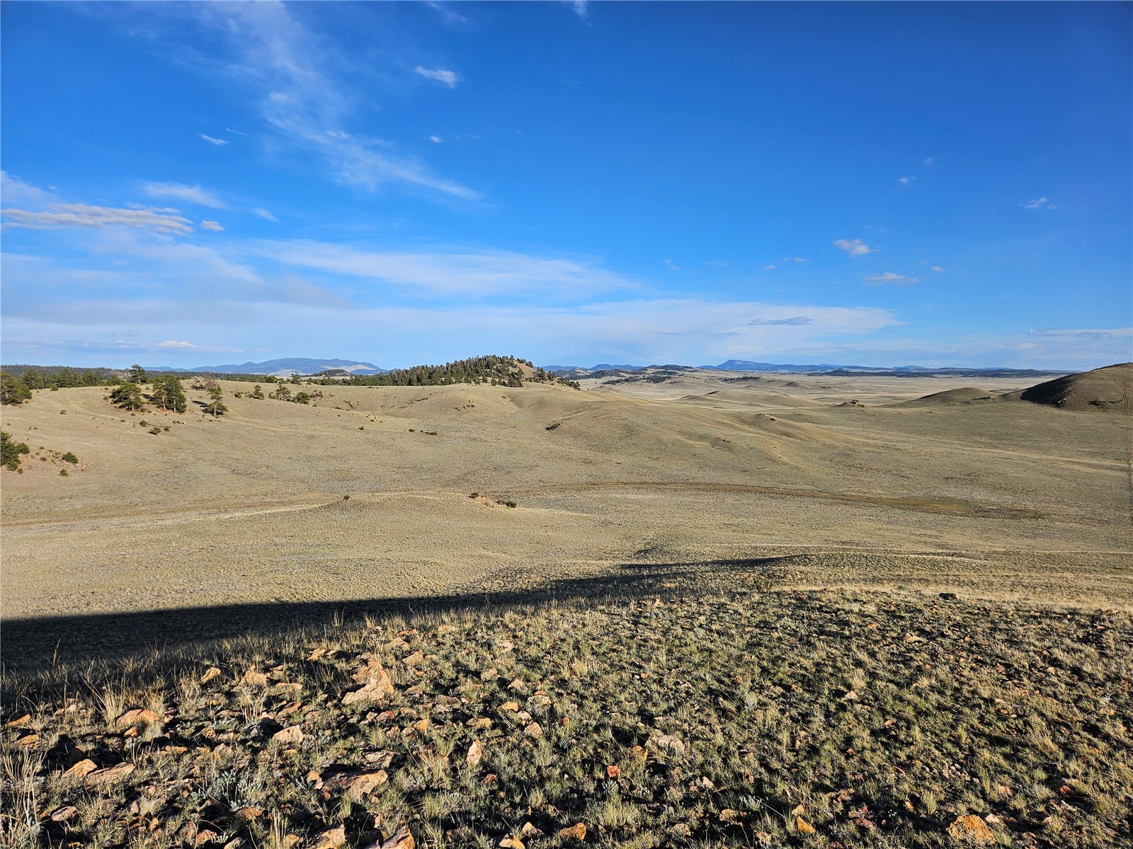 Pcs#24142 Antero Road Hartsel, CO 80449 - Photo 41 of 50