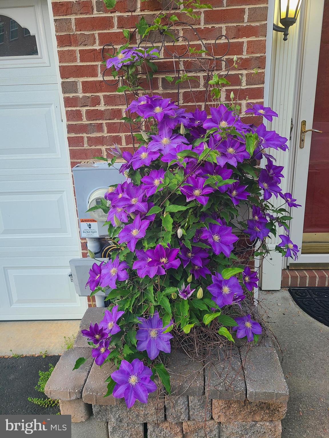 103 Persimmon Place Bear, DE 19701 - Photo 2 of 22 a flower garden