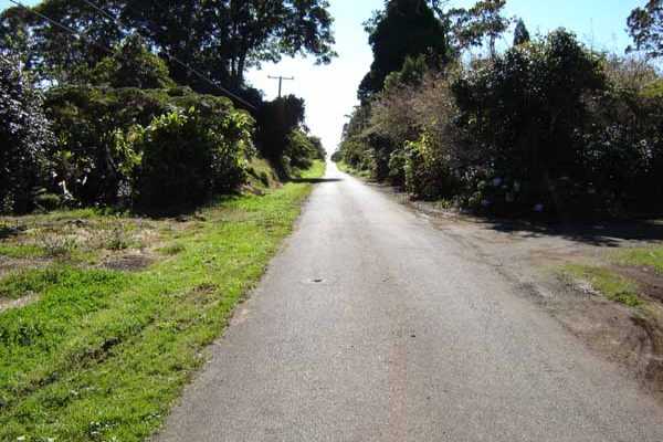 19-4816 Wright Road Volcano, HI 96785 - Photo 8 of 9 Gallery Image 8