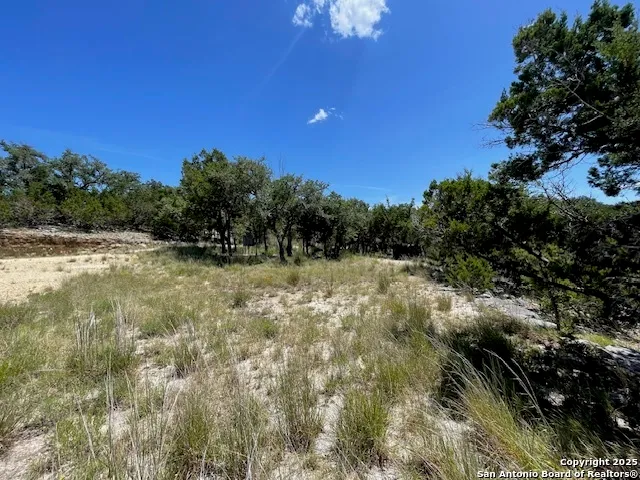 a view of a field with a tree