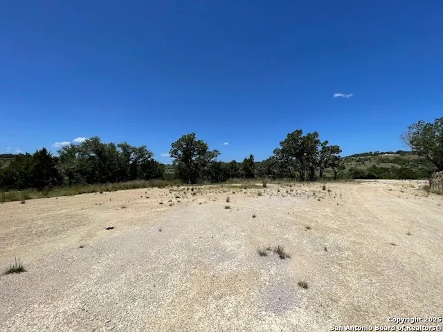 a view of dirt yard with a large tree
