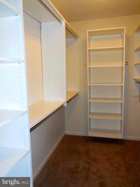 1751 Canal Run Drive Point of Rocks, MD 21777 - Photo 16 of 23 a view of walk in closet with empty racks