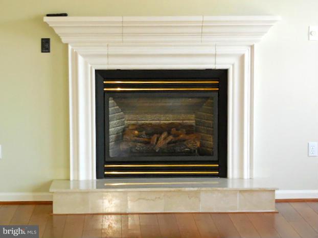 1751 Canal Run Drive Point of Rocks, MD 21777 - Photo 9 of 23 a view of a fireplace