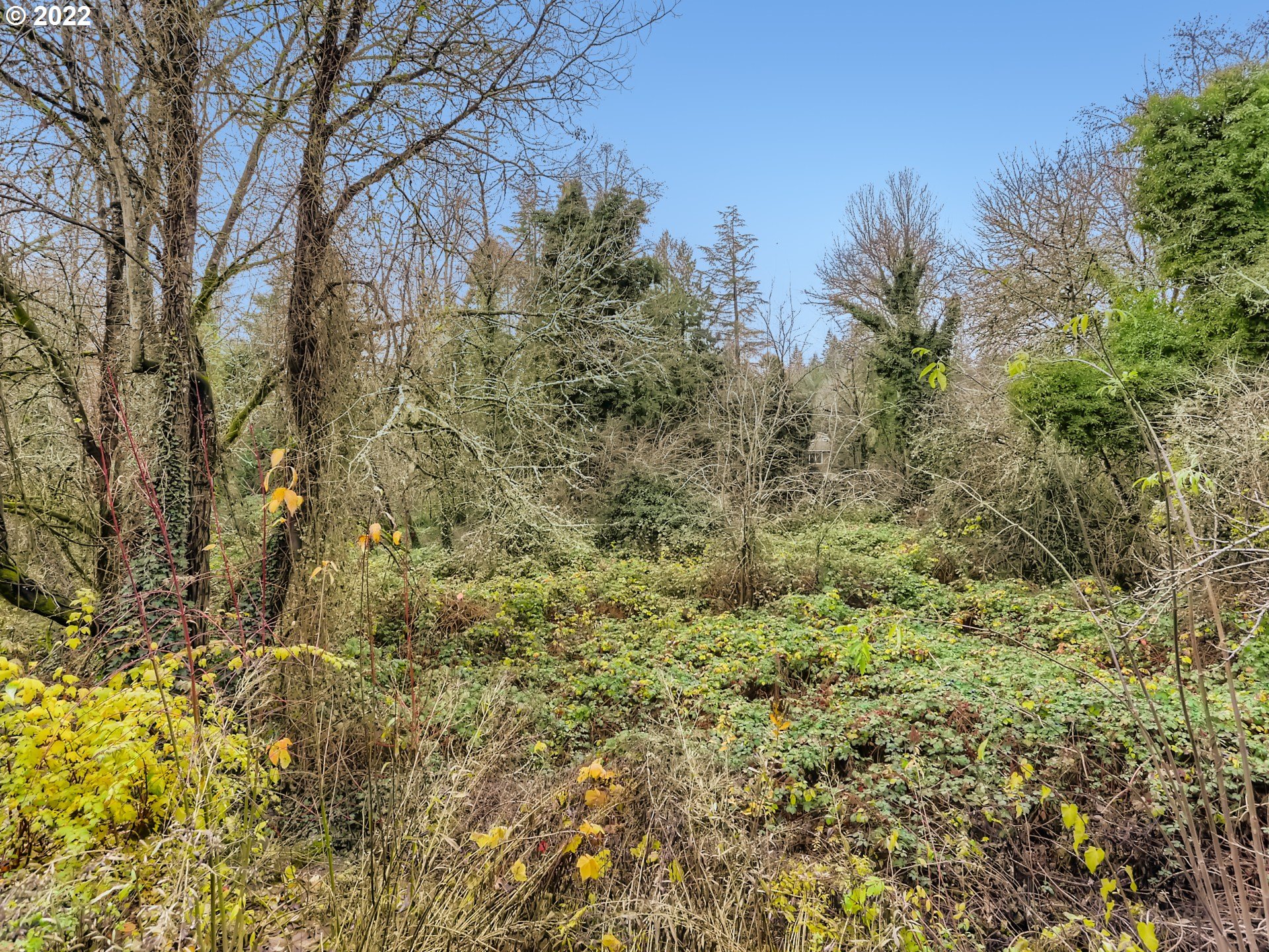 5225 Southwest Oleson Road, Unit 11 Portland, OR 97225 - Photo 11 of 11 Gallery Image 11