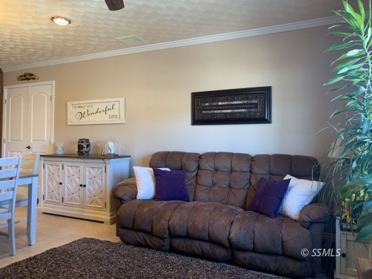 1320 Mayo Street Ridgecrest, CA 93555 - Photo 10 of 45 a living room with furniture potted plant and a window