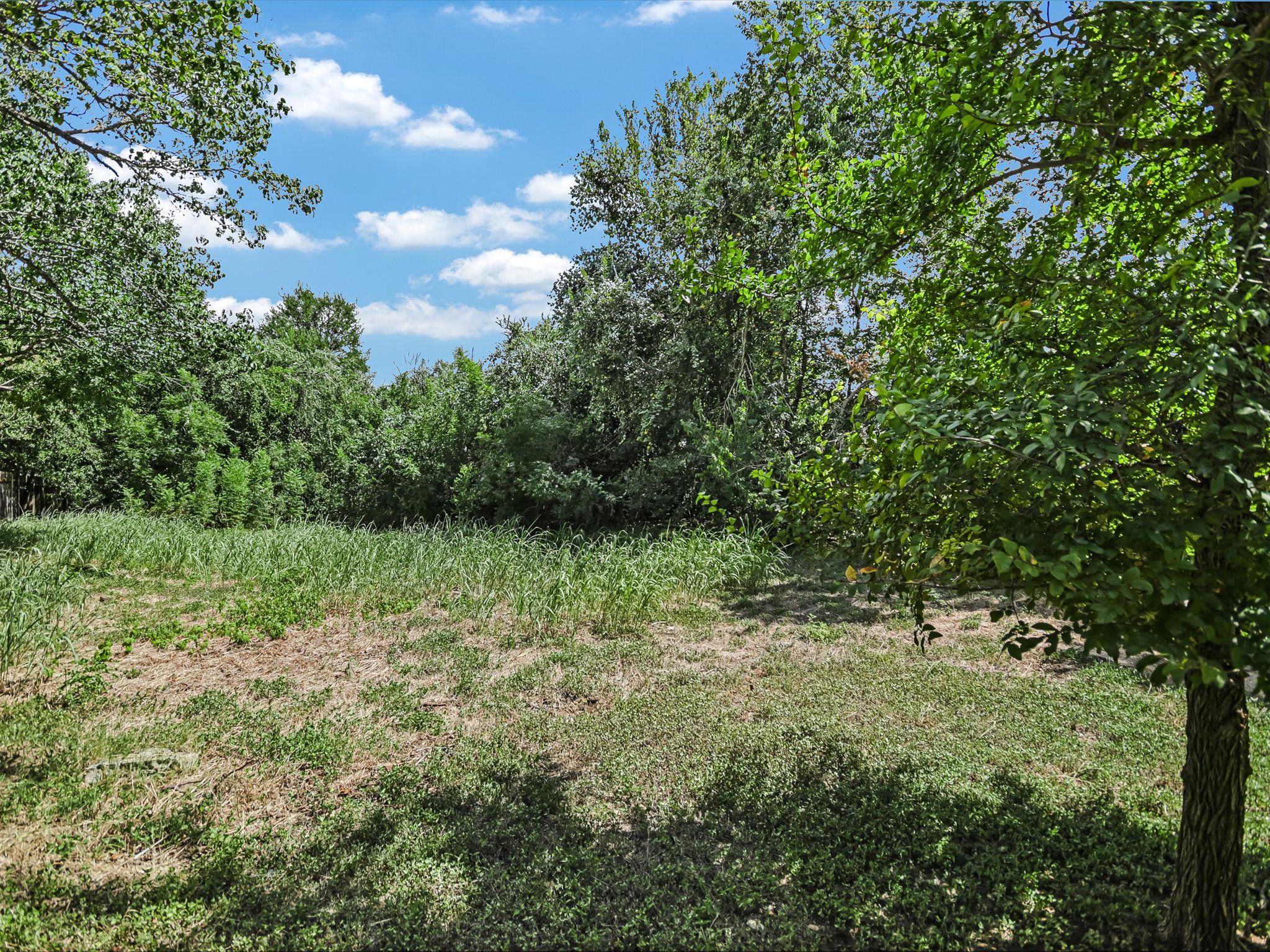 10817 Redmond Road Austin, TX 78739 - Photo 19 of 21 The greenbelt area beyond the fence provides for excellent peace and privacy with incredible sunflowers in the spring and native wildlife.