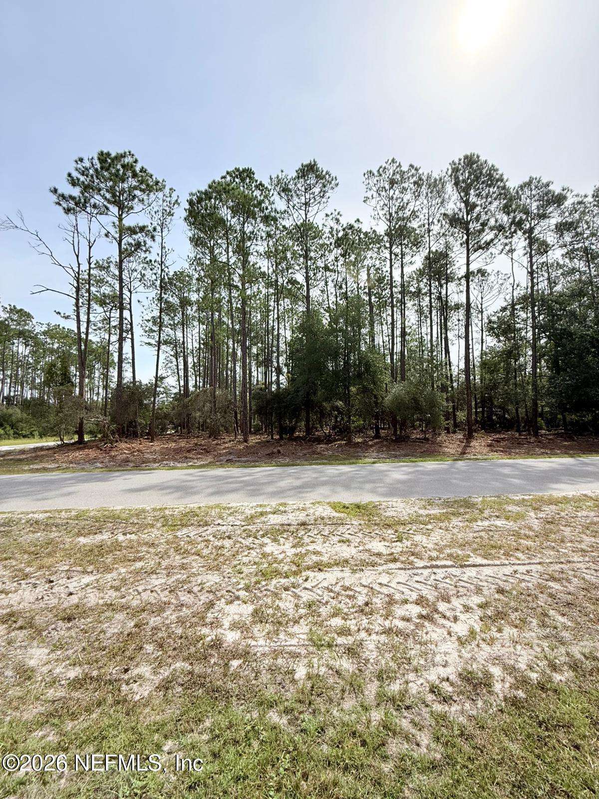 34 Whispering Pines Road Georgetown, FL 32139 - Photo 4 of 8 .