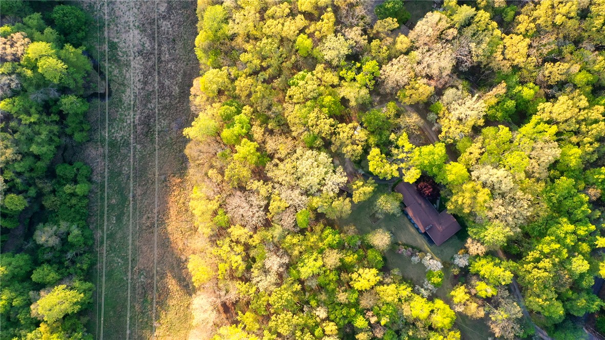 139 Todds Creek Road Central, SC 29630 - Photo 36 of 45 This aerial view showcases a peaceful home nestled within a vibrant, expansive wooded landscape.