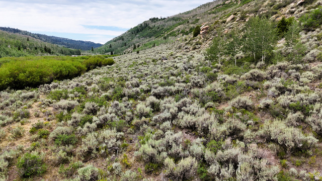 123 Beaver Creek Road Helper, UT 84526 - Photo 17 of 47 Expansive natural landscape featuring a sloped terrain
