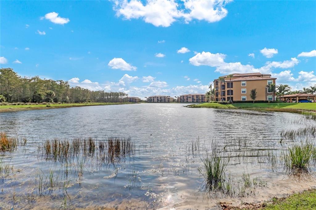 9566 Trevi Court, Unit 4944 Naples, FL 34113 - Photo 6 of 25