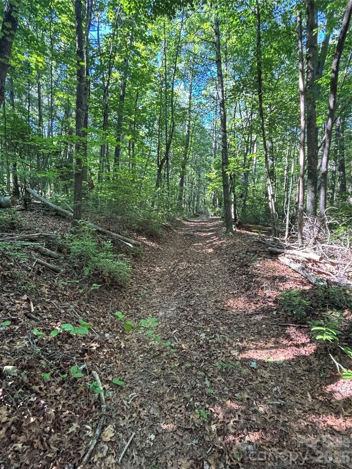 0 Stillwater Road Boomer, NC 28606 - Photo 28 of 33