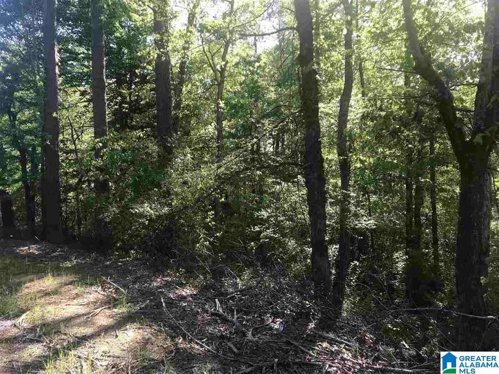 7240 Lowetown Road, Unit OFC McCalla, AL 35111 - Photo 3 of 3