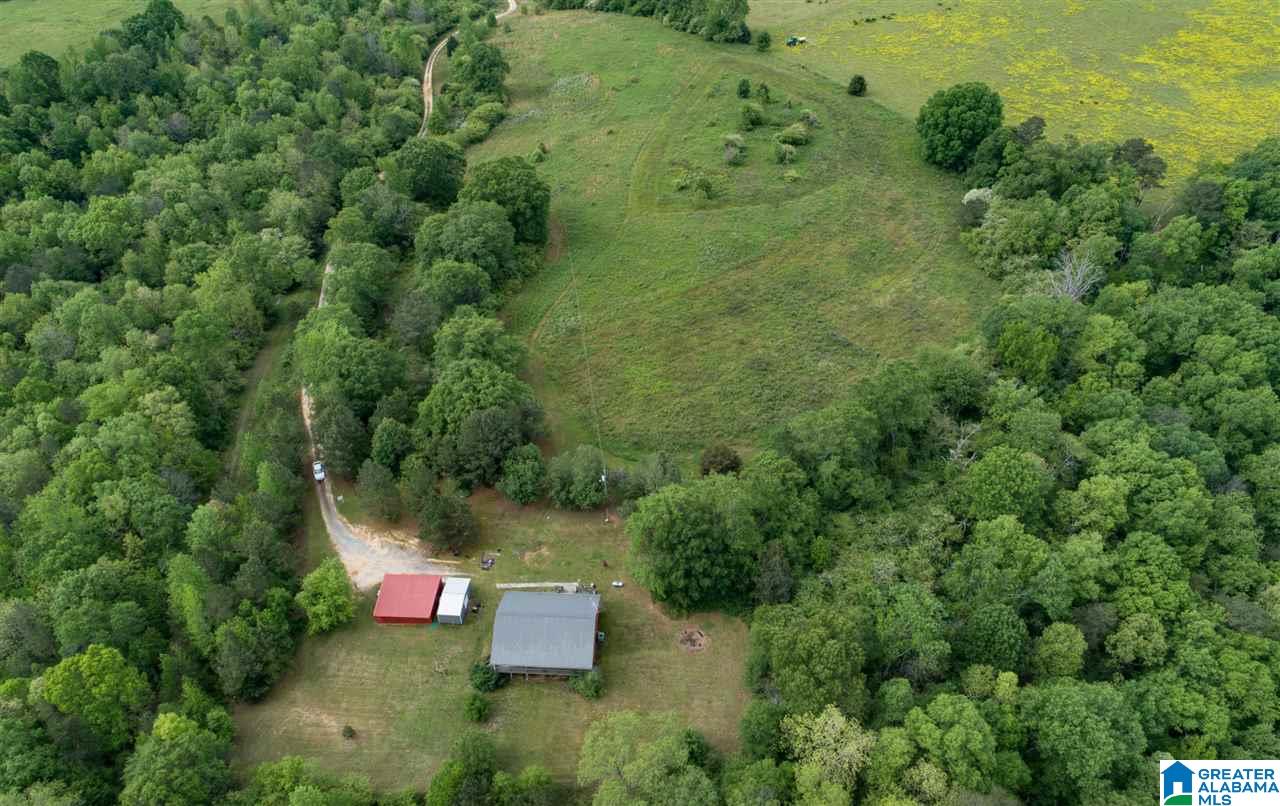 515 Bullard Road Blountsville, AL 35031 - Photo 21 of 21
