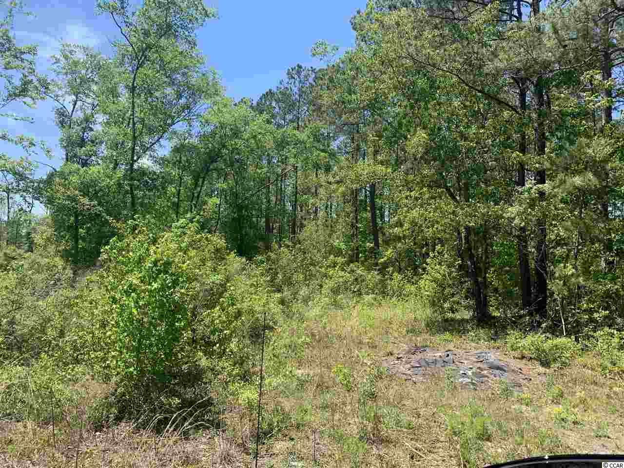 Lot 3 Mill Swamp Road Longs, SC 29568 - Photo 1 of 18 Gallery Image 1