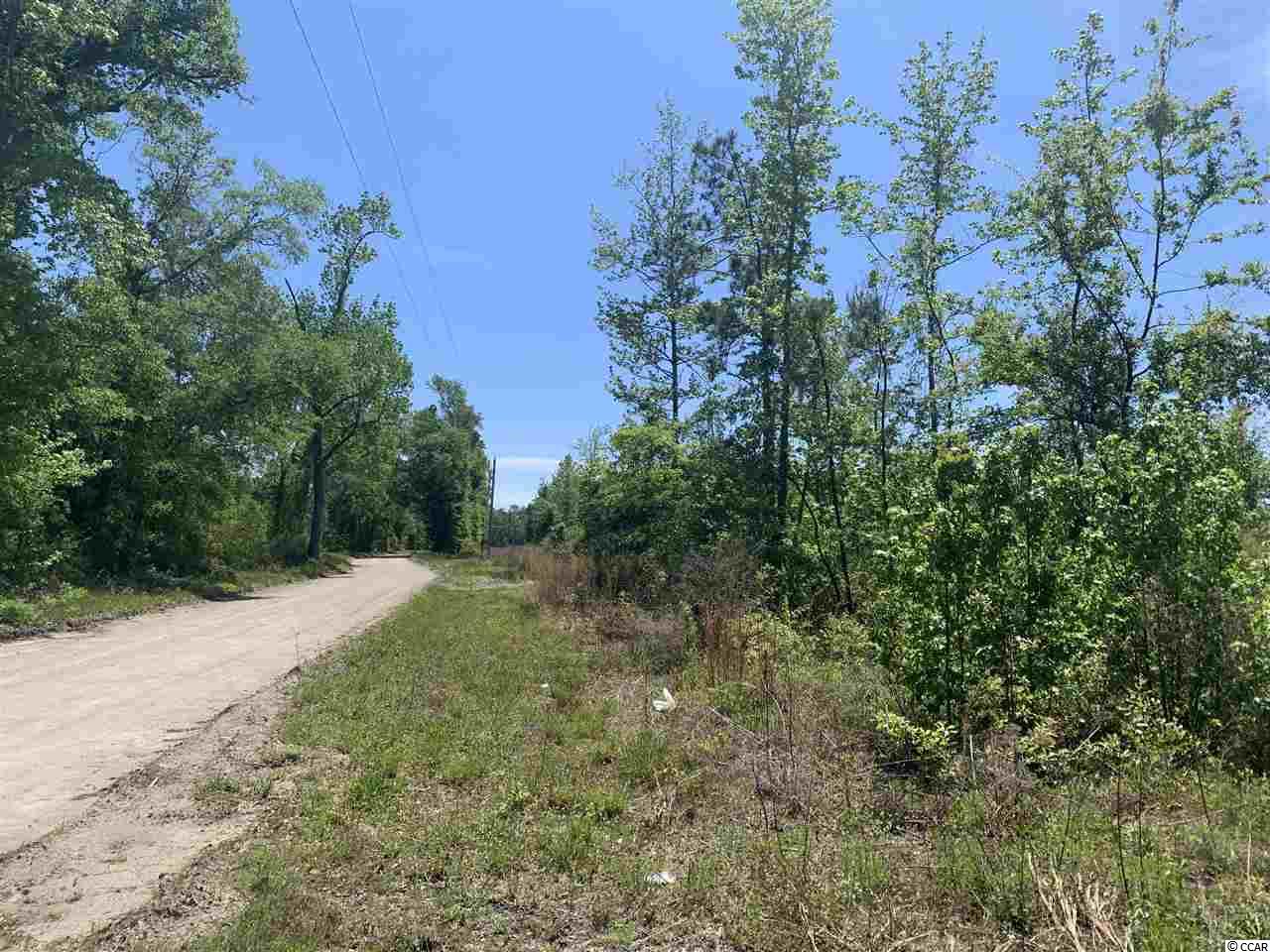 Lot 3 Mill Swamp Road Longs, SC 29568 - Photo 2 of 18 Gallery Image 2