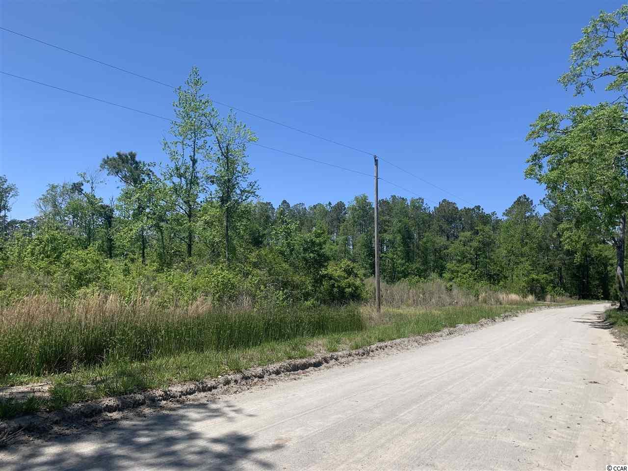 Lot 3 Mill Swamp Road Longs, SC 29568 - Photo 13 of 18 Gallery Image 13