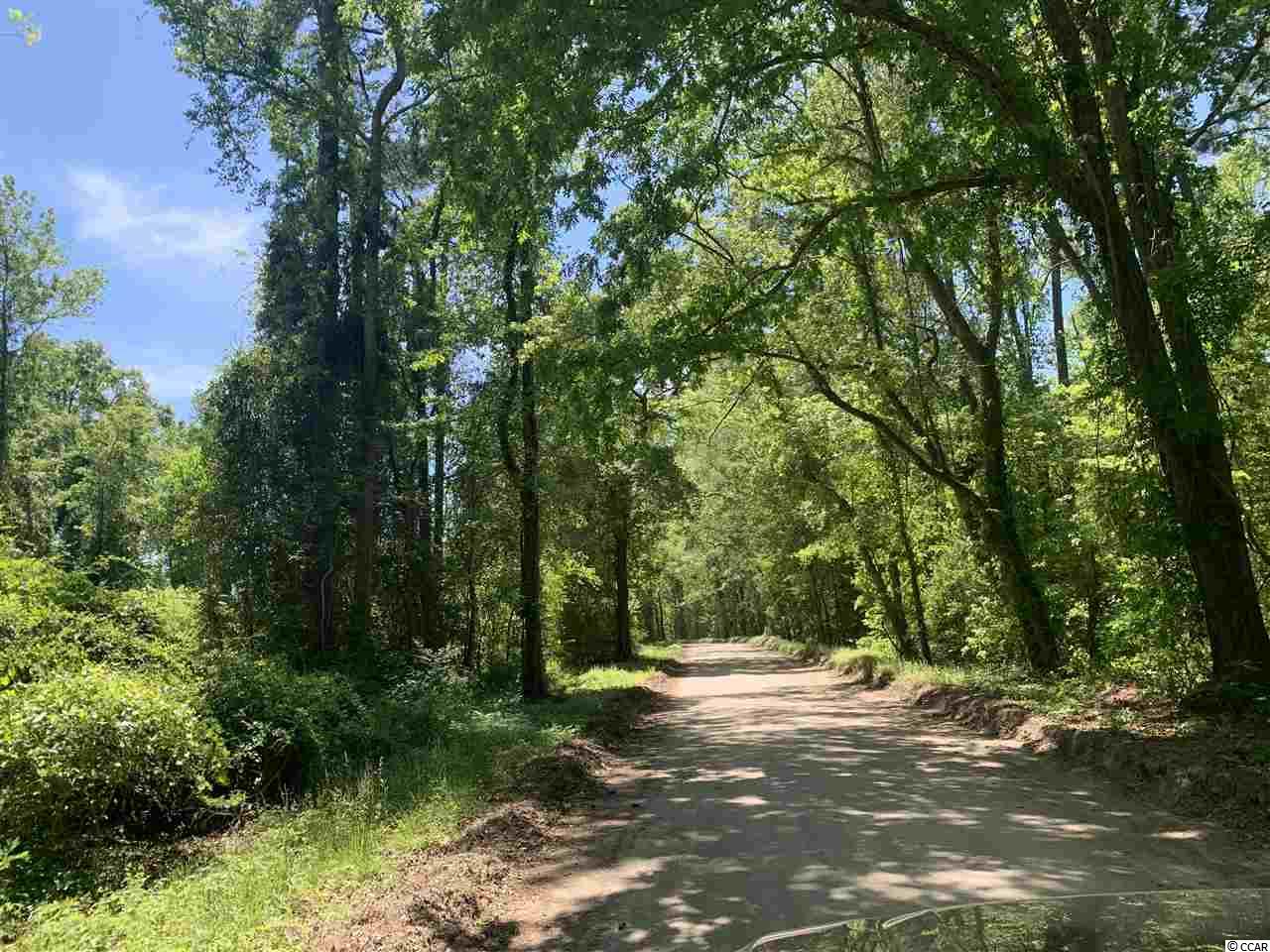 Lot 3 Mill Swamp Road Longs, SC 29568 - Photo 17 of 18 Gallery Image 17