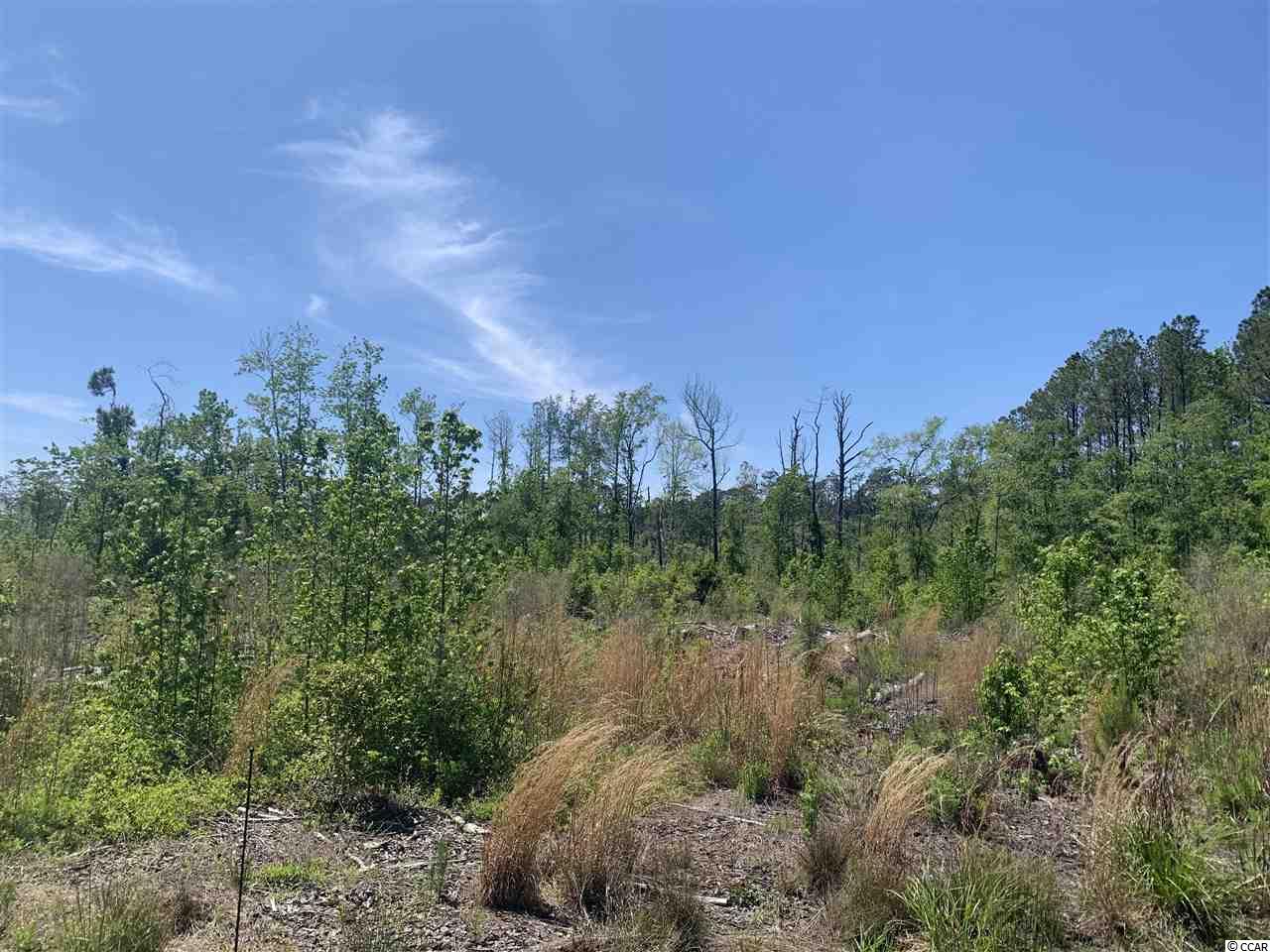 Lot 3 Mill Swamp Road Longs, SC 29568 - Photo 6 of 18 Gallery Image 6