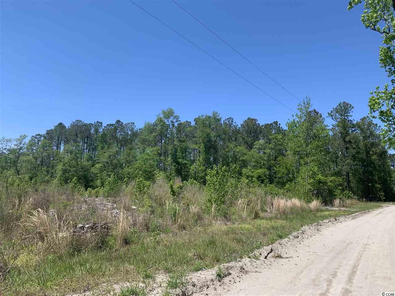 Lot 3 Mill Swamp Road Longs, SC 29568 - Photo 7 of 18 Gallery Image 7