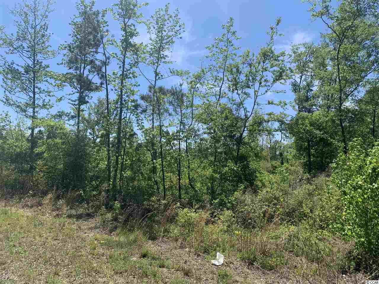 Lot 3 Mill Swamp Road Longs, SC 29568 - Photo 10 of 18 Gallery Image 10