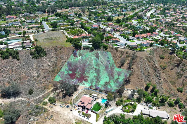 a view of a yard with plants