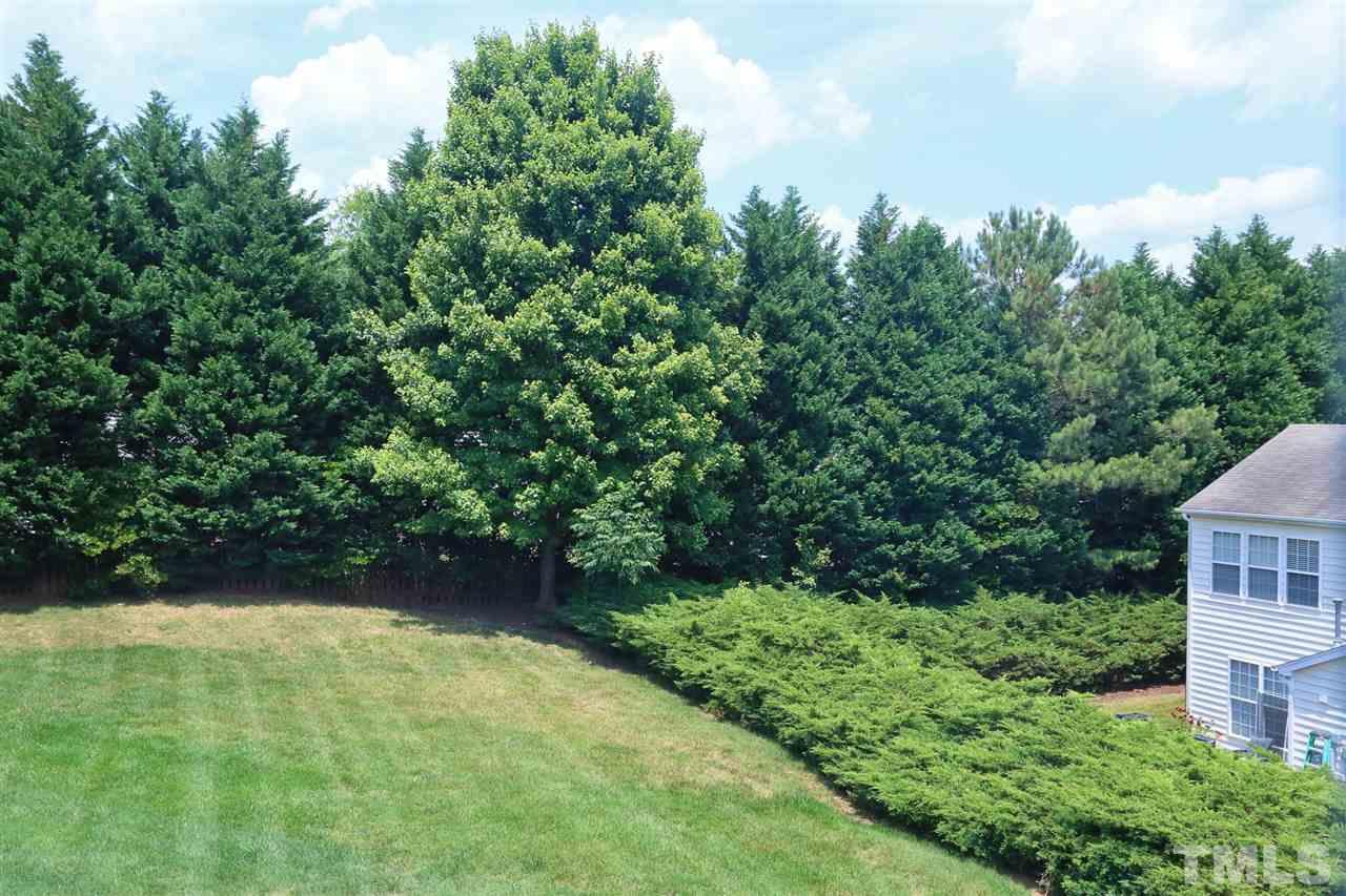 8454 Reedy Ridge Lane Raleigh, NC 27613 - Photo 24 of 30 a view of backyard with green space