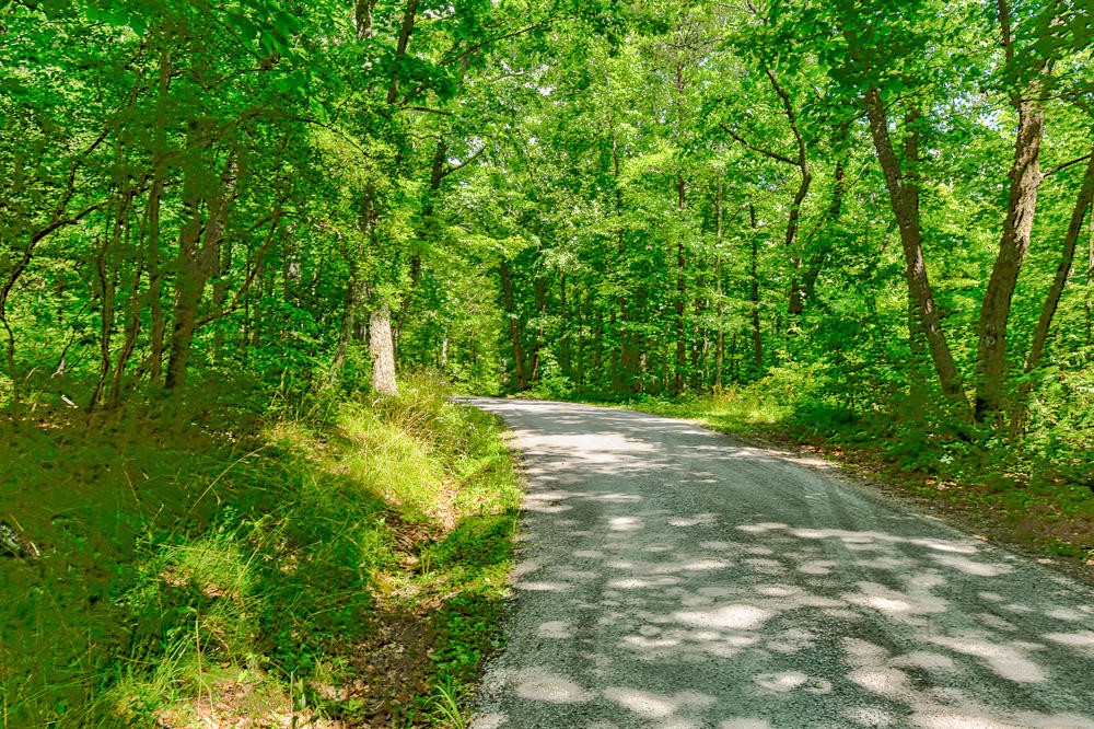 0 Walden View Road Signal Mountain, TN 37377 - Photo 6 of 7 Gallery Image 6