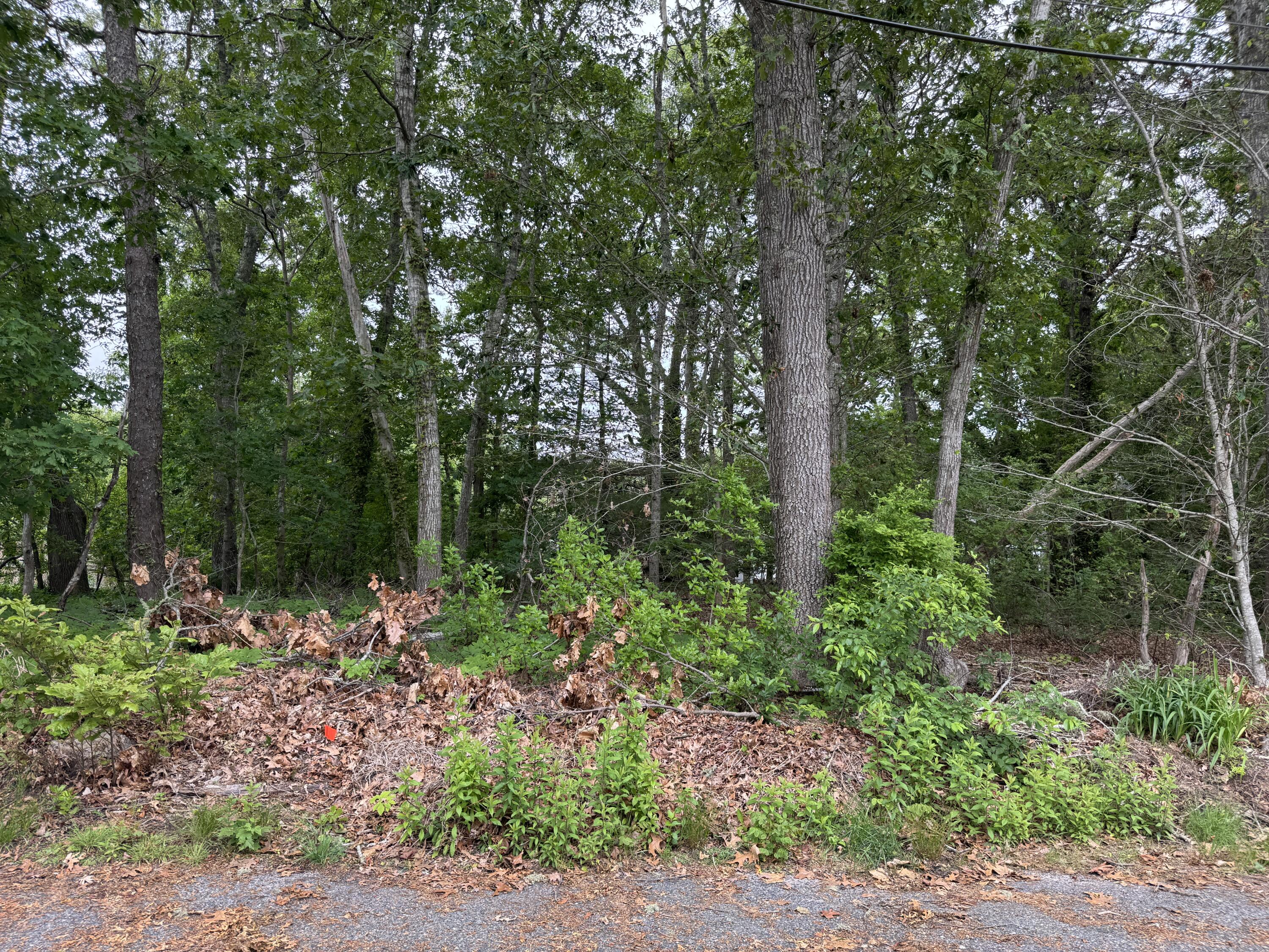 Lot from street
