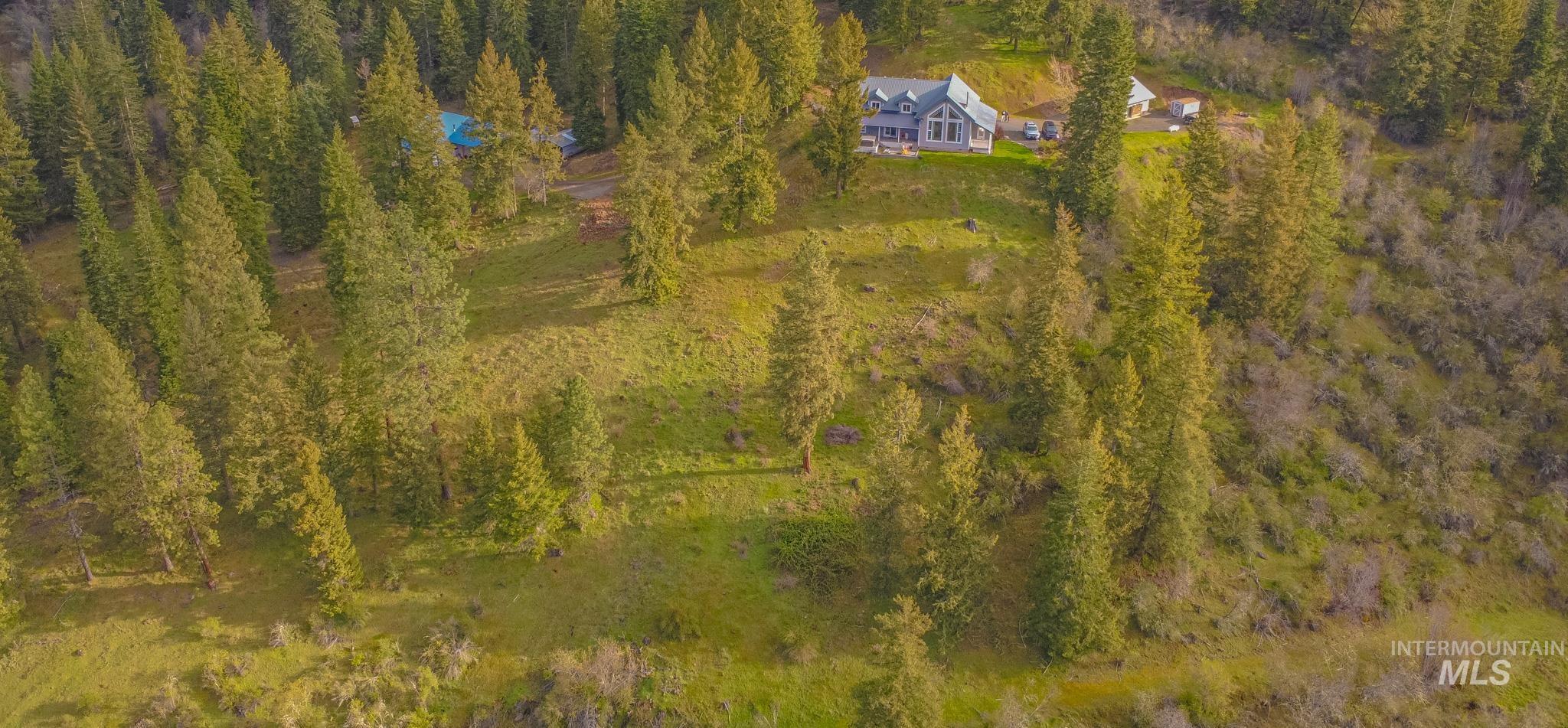 237 Old Dent Road Orofino, ID 83544 - Photo 39 of 48 Bird's eye view of a forest