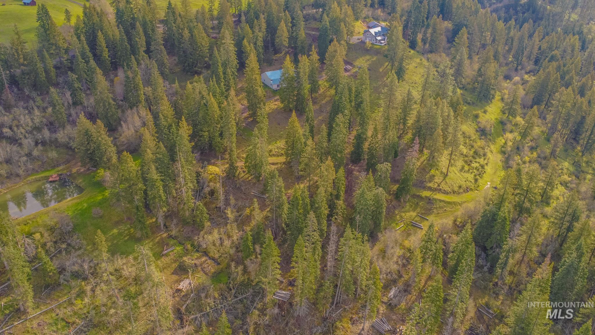 237 Old Dent Road Orofino, ID 83544 - Photo 40 of 48 Bird's eye view