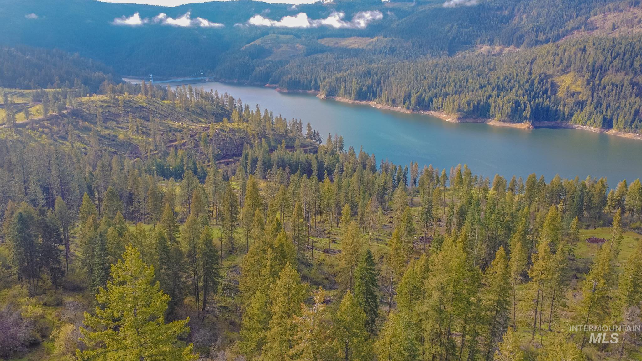 237 Old Dent Road Orofino, ID 83544 - Photo 41 of 48 Drone / aerial view of a forest and a water and mountain view