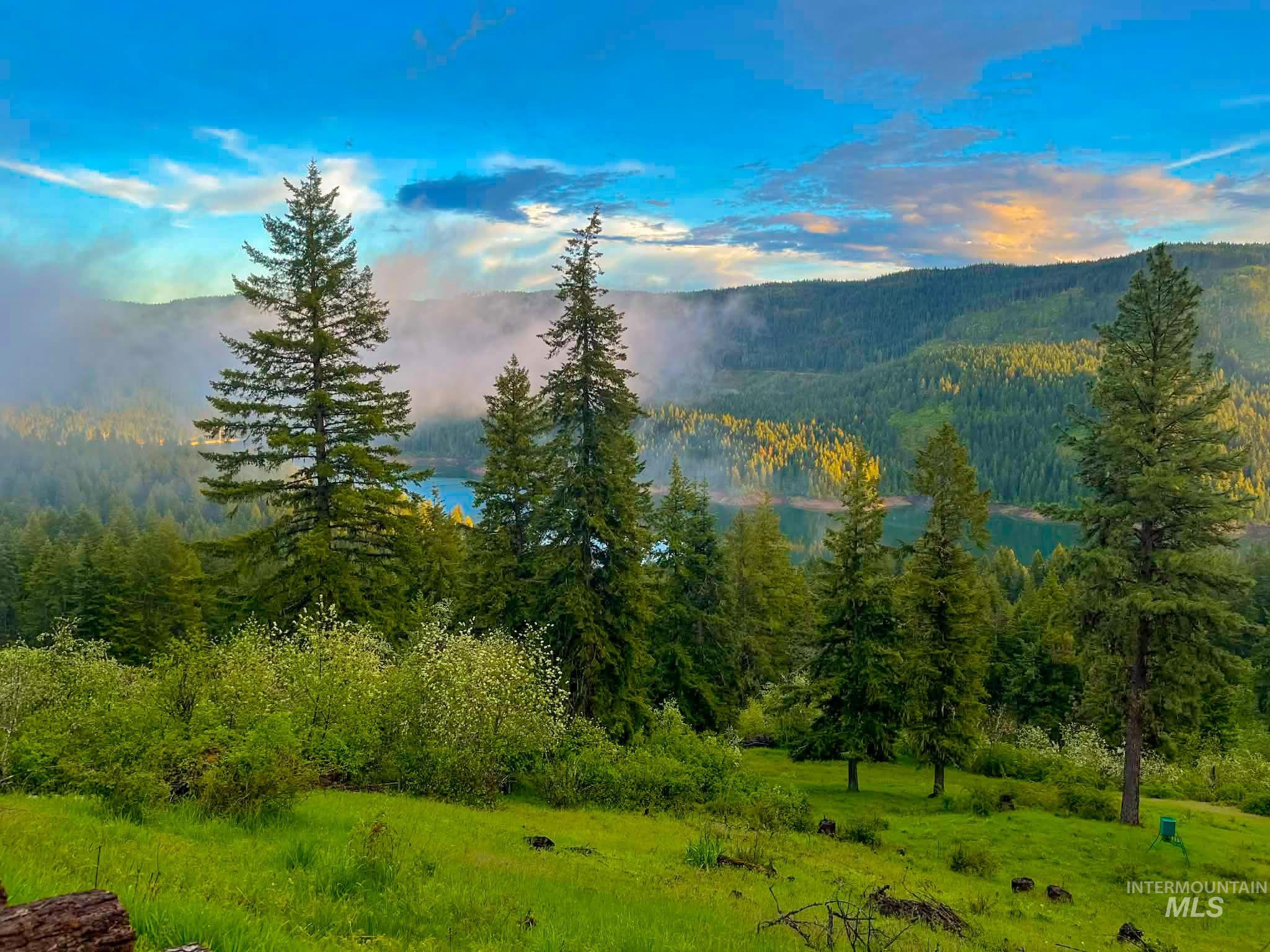 237 Old Dent Road Orofino, ID 83544 - Photo 42 of 48 View of mountain background featuring a forest