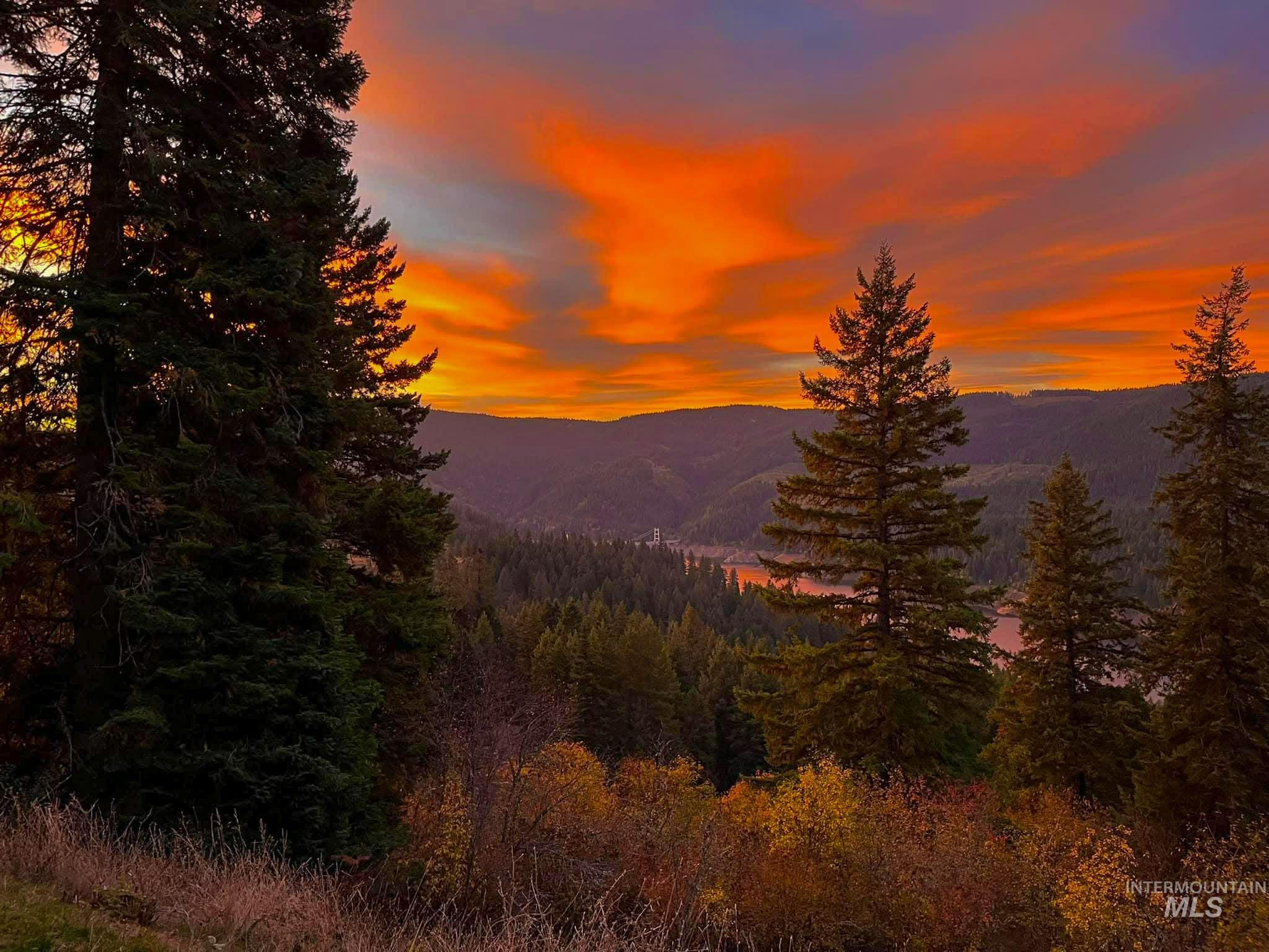 237 Old Dent Road Orofino, ID 83544 - Photo 43 of 48 View of mountain backdrop with a forest