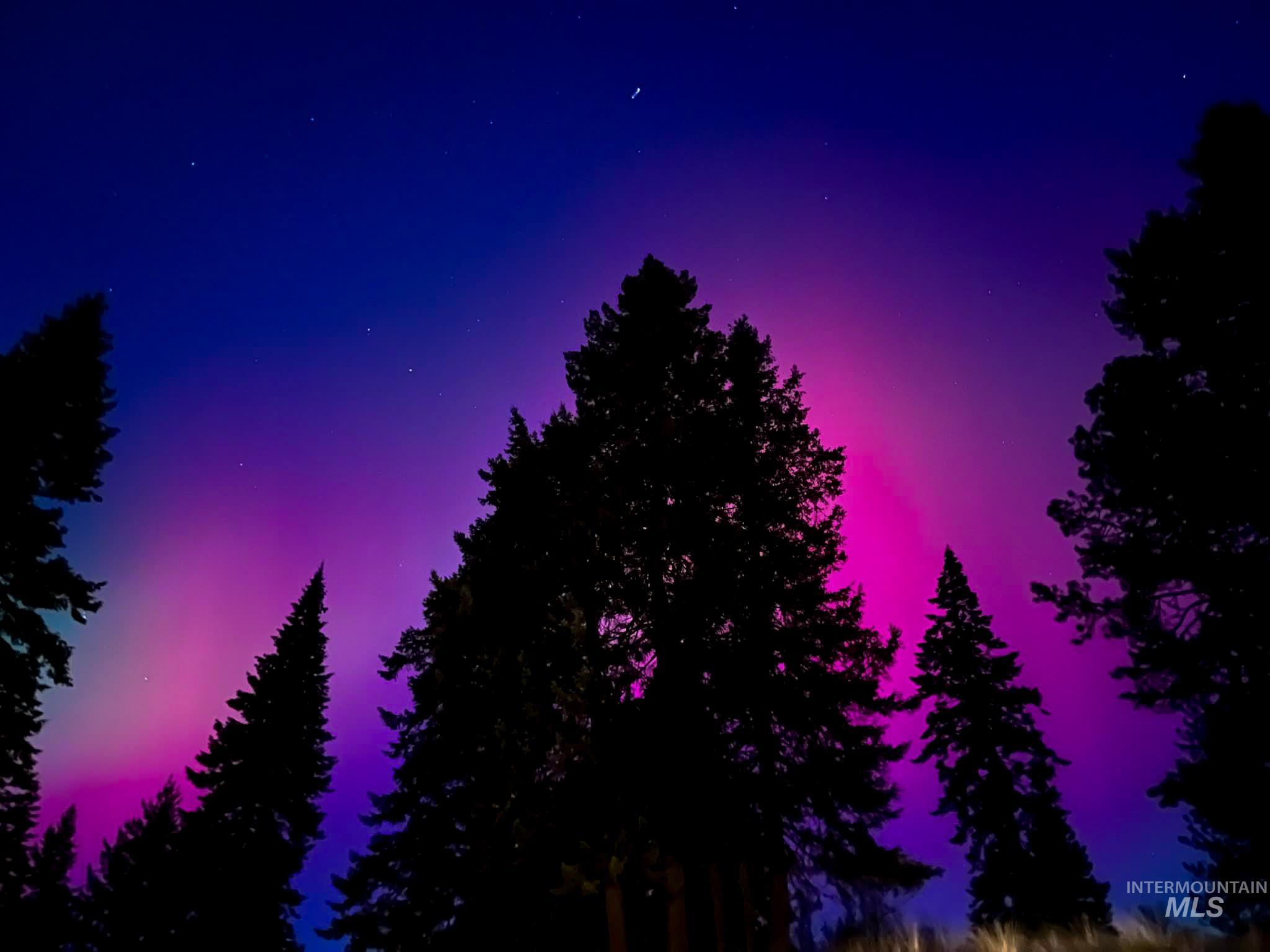 237 Old Dent Road Orofino, ID 83544 - Photo 45 of 48 View of local wilderness